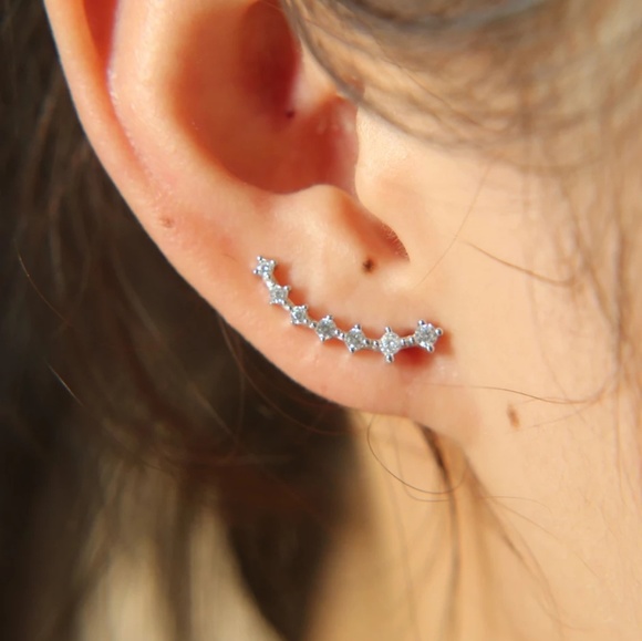 Jewelry - 🌸4/$25🌸. New Crystal Climber Earrings